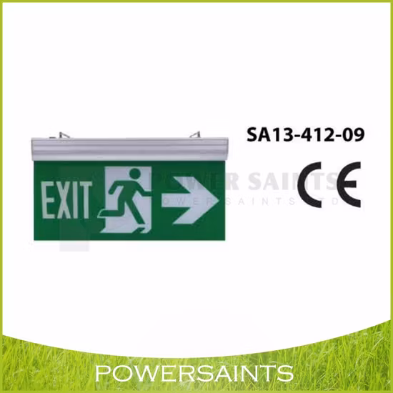 Экономичный светодиодный светильник аварийного выхода по индивидуальному заказу